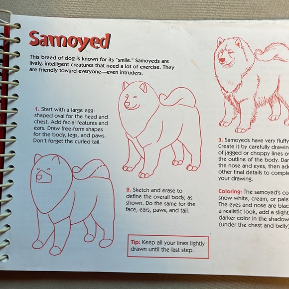 🌈2/$8  The Big Book of Drawing Dogs and Cats - Picture 8 of 12